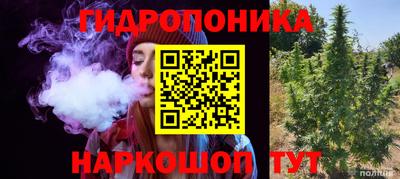 стафф Пыть-Ях