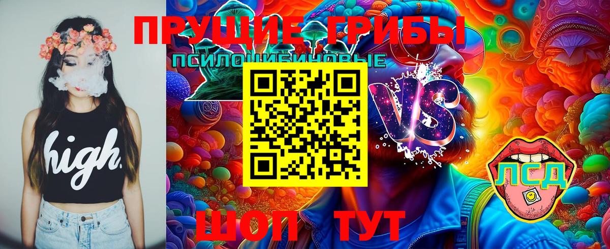 Галлюциногенные грибы ЛСД  Вход с VPN  купить наркотики цена  Фурманов 