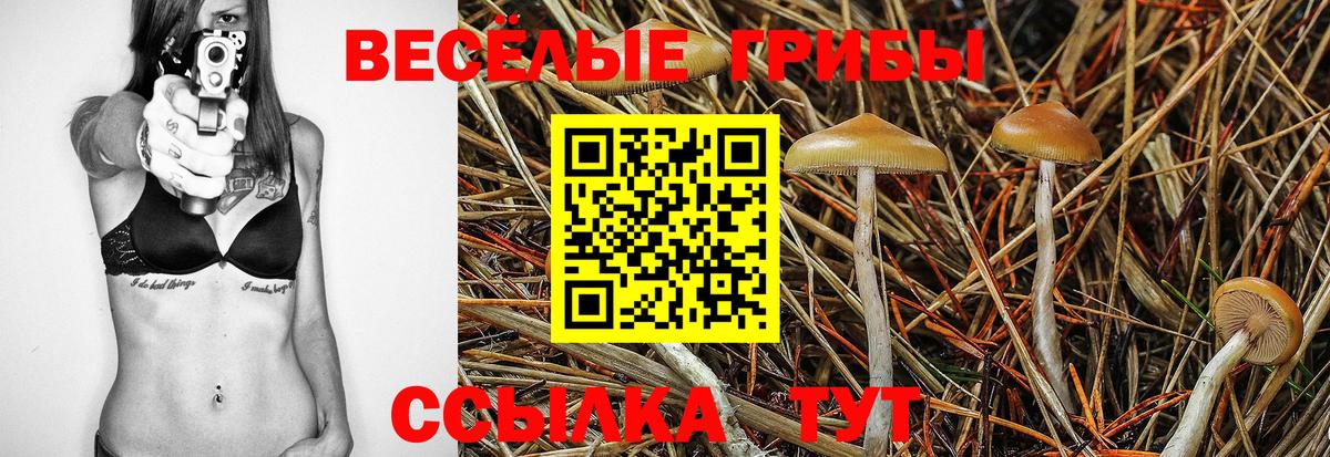 Галлюциногенные грибы мицелий Фурманов